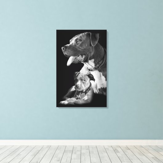 Toile Pitbull (Insitu (Plancher de Bois))