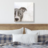 Toile pitbull peinture originale de Miart imprimer (Insitu(Chambre))