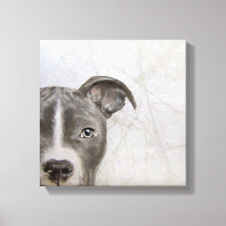 Toile pitbull peinture originale de Miart imprimer