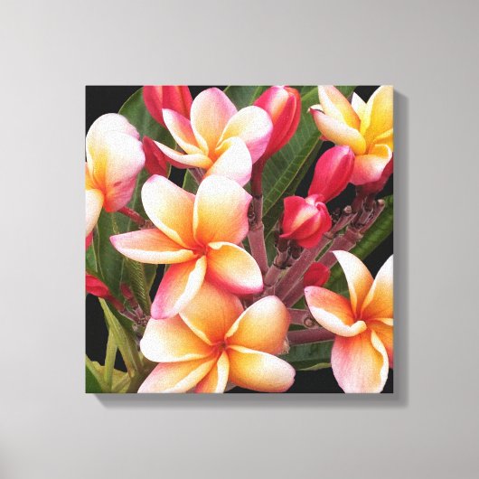 Toile PixDezines Plumeria/Penang Peach (Recto)