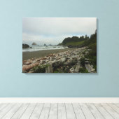 Toile Plage cachée I du parc national de Redwood (Insitu (Plancher de Bois))