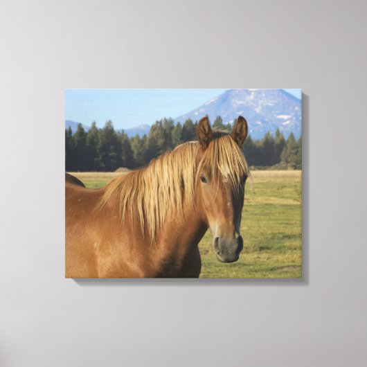 Toile Plage Cascade | Cheval de châtaignes (Recto)