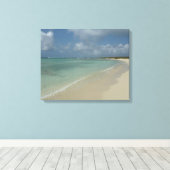 Toile Plage d'Aruba II Magnifique paysage naturel (Insitu (Plancher de Bois))