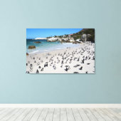 Toile Plage de Penguins Boulders | Afrique du Sud (Insitu (Plancher de Bois))