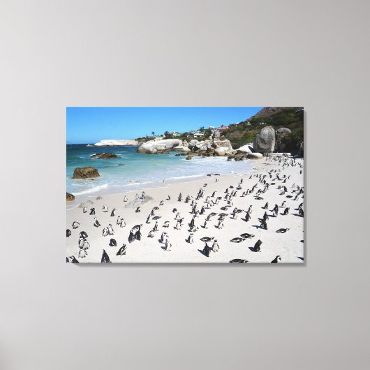 Toile Plage de Penguins Boulders | Afrique du Sud (Recto)