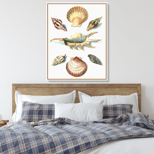 Toile Plage de Shell soignée (Insitu(Chambre))