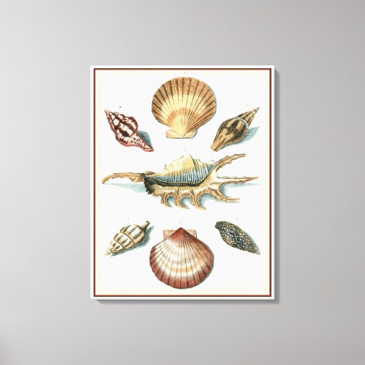 Toile Plage de Shell soignée (Recto)