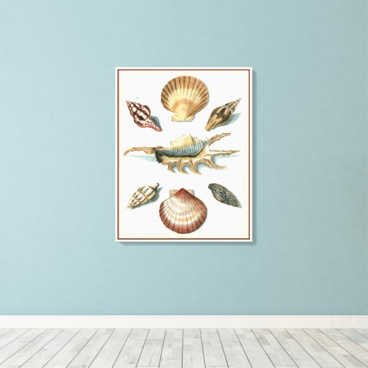 Toile Plage de Shell soignée (Insitu (Plancher de Bois))