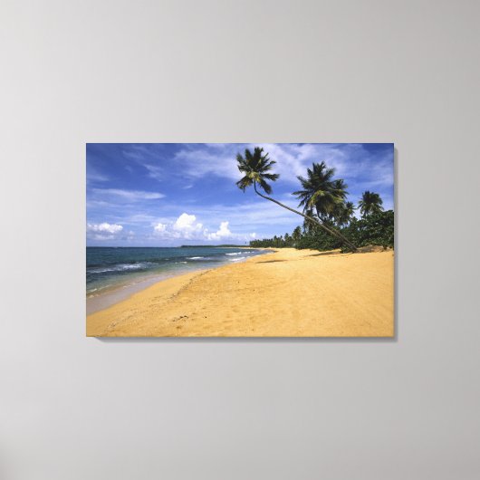 Toile Plage Porto Rico (Recto)