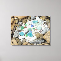 Plage Sea Glass estampes Sea Shells Fossiles