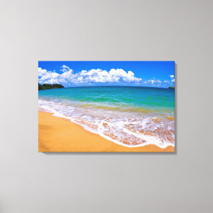 Toile Plage vide et eaux bleues