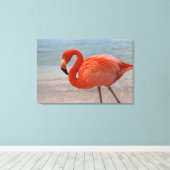 Toile Plages tropicales | Flamant rose des Caraïbes, Aru (Insitu (Plancher de Bois))