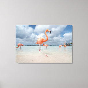 Toile Plages tropicales   Flamants roses Beach, Aruba