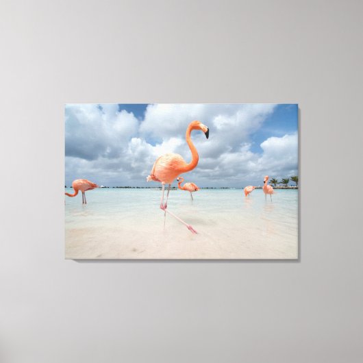 Toile Plages tropicales | Flamants roses Beach, Aruba (Recto)