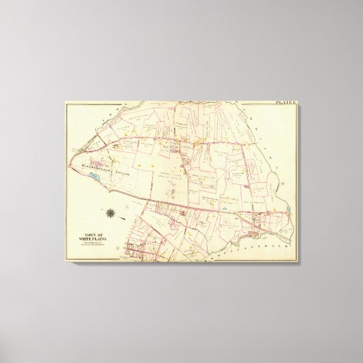 Toile Plaines blanches, New York (Recto)