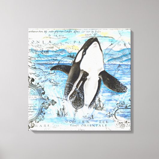 Toile Plan Breaching Orca (Recto)