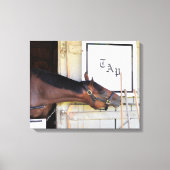 Toile Plan directeur (Recto)