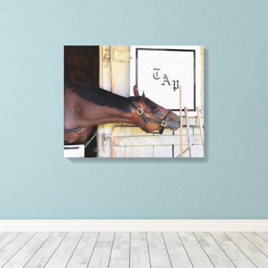 Toile Plan directeur (Insitu (Plancher de Bois))