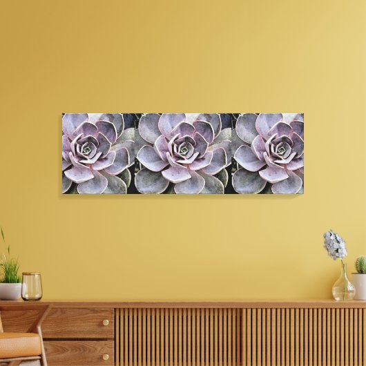 Toile Plan Succulent "Rose" d'Echeverie gris-bleu (Insitu(Salon))