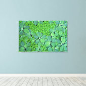 Toile Plante (Insitu (Plancher de Bois))