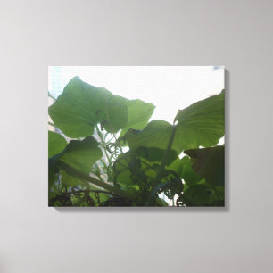 Toile Plante