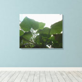 Toile Plante (Insitu (Plancher de Bois))