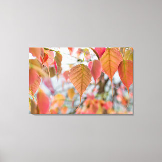 Toile Plante Asathu Baby Feuilles Charger bouddha