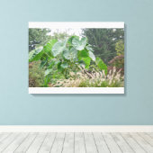 Toile Plante de l'oreille éléphante (Insitu (Plancher de Bois))