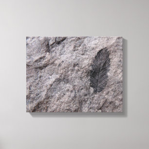 Toile Plante Fossil 350 millions Yr. Imprimé