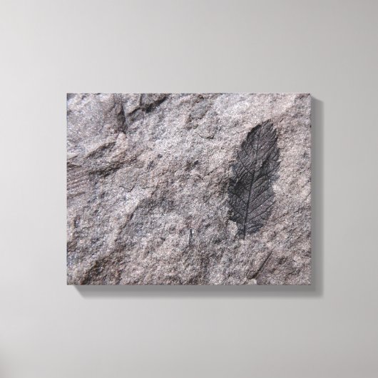 Toile Plante Fossil 350 millions Yr. Imprimé (Recto)