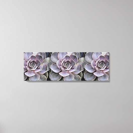 Toile Plante succulente Echeveria "Rose" gris-bleu rosé (Recto)
