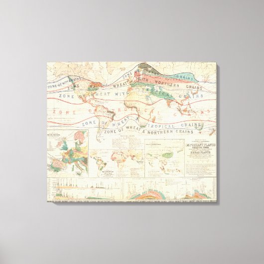 Toile Plantes de distribution (Recto)