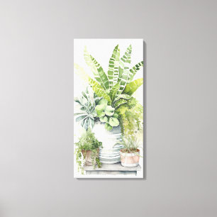 Toile Plantes d'intérieur