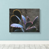 Toile Plantes du désert (Insitu (Plancher de Bois))