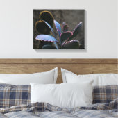 Toile Plantes du désert (Insitu(Chambre))