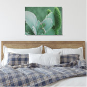 Toile Plantes du désert (Insitu(Chambre))