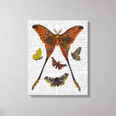 Toile Plaque 2 (Recto)