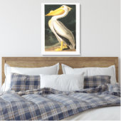Toile Plaque Audubon 311 American White Pelican (Insitu(Chambre))