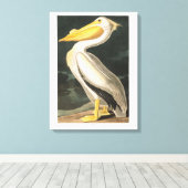 Toile Plaque Audubon 311 American White Pelican (Insitu (Plancher de Bois))