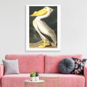 Toile Plaque Audubon 311 American White Pelican (Insitu(Salon))