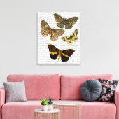 Toile Plaque de papillon 4 (Insitu(Salon))