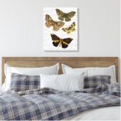 Toile Plaque de papillon 4 (Insitu(Chambre))