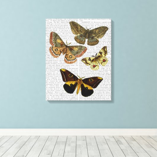 Toile Plaque de papillon 4 (Insitu (Plancher de Bois))