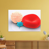 Toile Platelet, Cellules De Sang Rouge Et Blanc (Insitu(Salon))