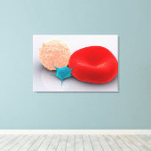 Toile Platelet, Cellules De Sang Rouge Et Blanc (Insitu (Plancher de Bois))