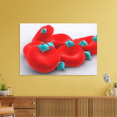 Toile Platelets Avec Cellules De Sang Rouge 1 (Insitu(Salon))