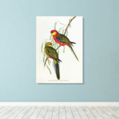 Toile Platycercus Icterotis (Insitu (Plancher de Bois))
