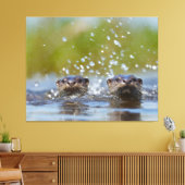 Toile Playful Otters Popping Up Water Splash (Insitu(Salon))