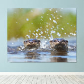 Toile Playful Otters Popping Up Water Splash (Insitu (Plancher de Bois))
