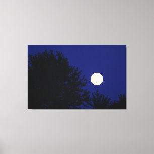 Toile Pleine lune avec arbres et ciel bleu